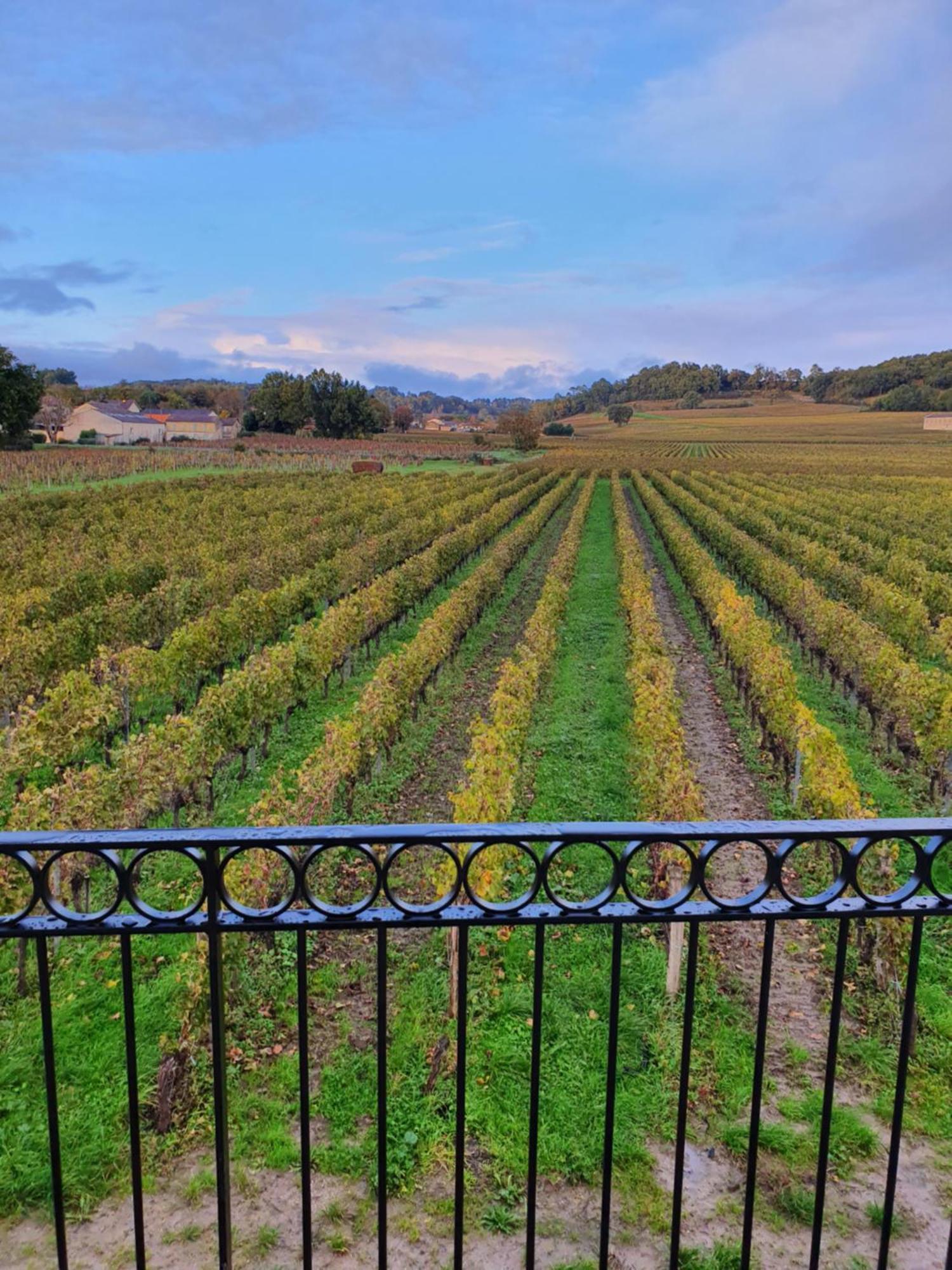 Chambres D'Hote & Gite Chateau Le Conte - Saint Emilion エクステリア 写真