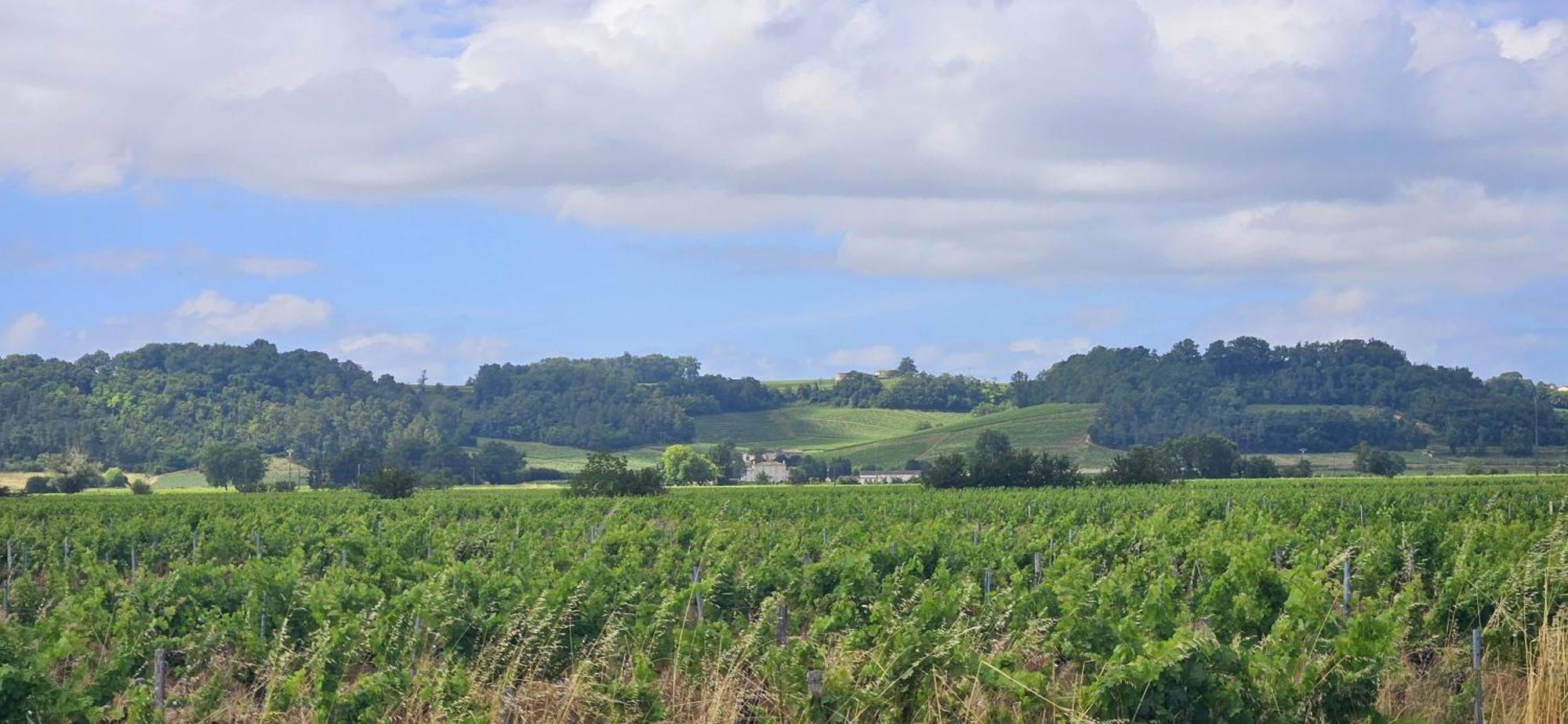 Chambres D'Hote & Gite Chateau Le Conte - Saint Emilion エクステリア 写真