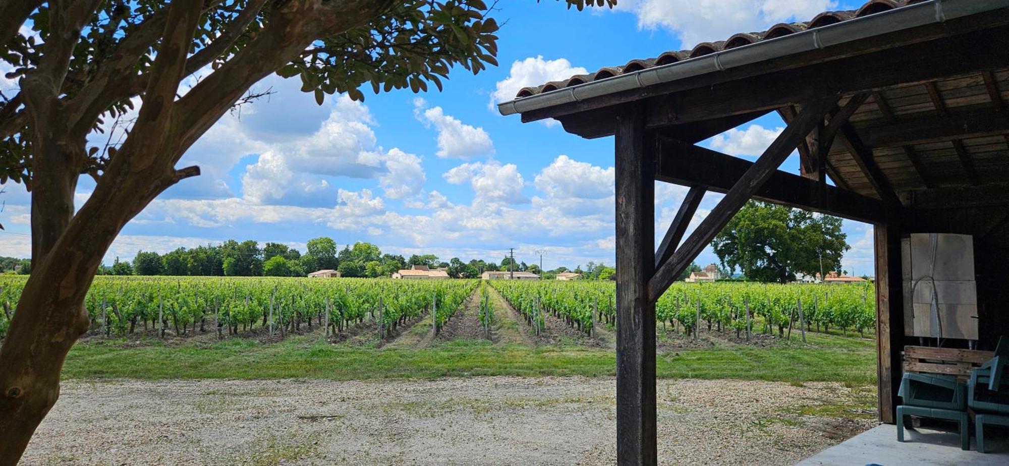 Chambres D'Hote & Gite Chateau Le Conte - Saint Emilion エクステリア 写真